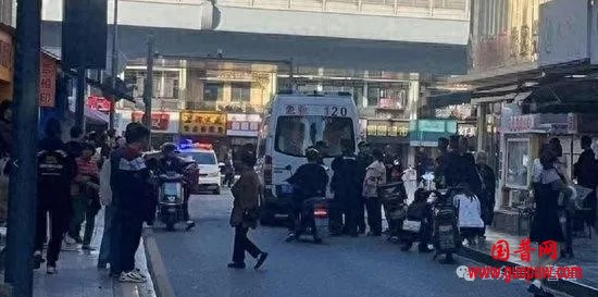 微信图片_20241029133135.png