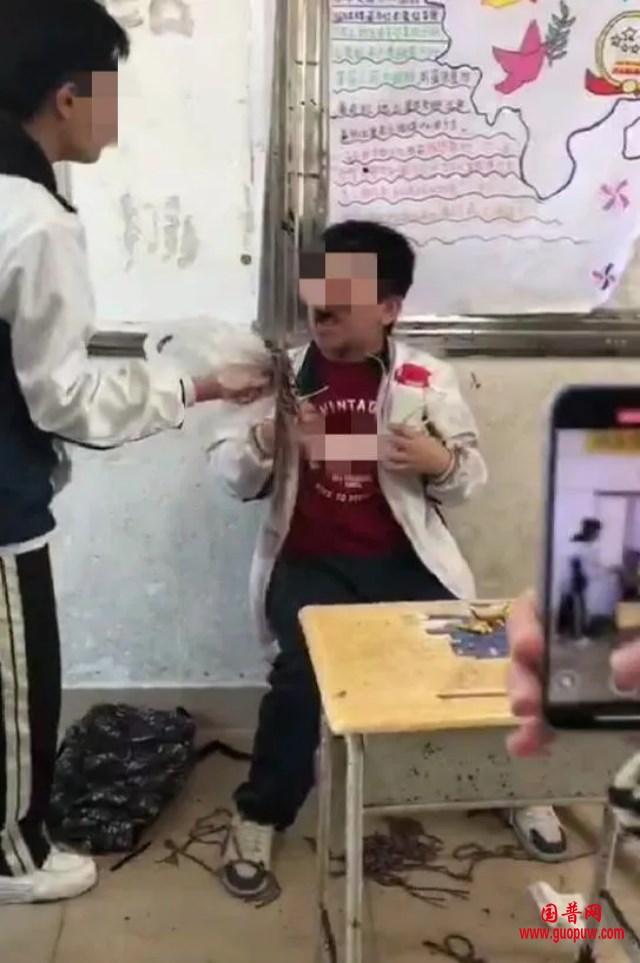 微信图片_20250222134936_副本.png