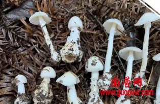 微信图片_20251120084707_480_1.png 微信图片_20251120084707_480_1.png