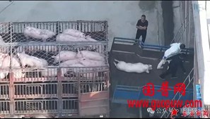 微信图片_20251124092724_582_1.png 微信图片_20251124092724_582_1.png